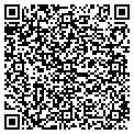 QR code with Rvsi contacts