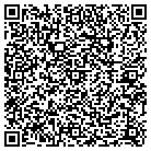 QR code with Channel Islands Diving contacts