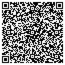 QR code with Public School System contacts