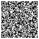 QR code with Pulsecom contacts