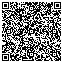 QR code with Boarstone Systems LLC contacts