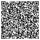 QR code with Precision Auto Care contacts