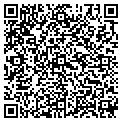 QR code with M Corp contacts