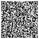 QR code with Costa Pattern & Mold contacts
