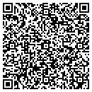 QR code with Premier Services contacts