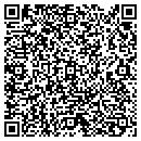 QR code with Cyburt Software contacts
