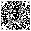 QR code with Cyber Walrus contacts