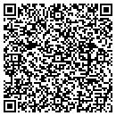 QR code with Public Comm Service contacts