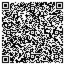 QR code with Providers Inc contacts