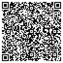 QR code with Pulsar Alarm Systems contacts