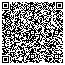 QR code with Colonial Electronics contacts