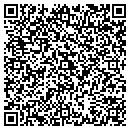 QR code with Puddlejumpers contacts