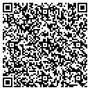 QR code with Public Storage contacts