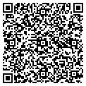 QR code with W Goff contacts