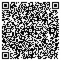 QR code with BDG Auto contacts
