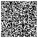 QR code with Carter It Consulting contacts