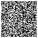 QR code with Cdt Micrographics Inc contacts