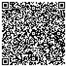 QR code with Cinnamon Informatics Inc contacts