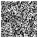 QR code with Purity Lighting contacts