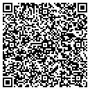 QR code with Professional Vision contacts