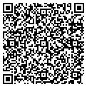 QR code with Amplify contacts