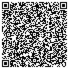 QR code with Publication Services Inc contacts