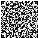 QR code with Push That Point contacts