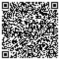 QR code with Avatar contacts