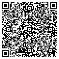 QR code with Amway contacts