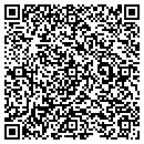 QR code with Publishing Desisions contacts