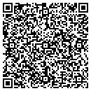 QR code with Borealis Events LLC contacts