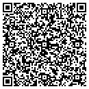 QR code with Prudential Plastering contacts