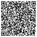 QR code with Splat contacts