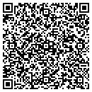 QR code with Professional Vision contacts