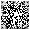 QR code with P Fhc contacts