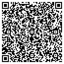 QR code with Bachini David & Co contacts