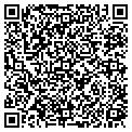 QR code with Magazzi contacts