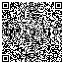 QR code with Pro-Link LTD contacts
