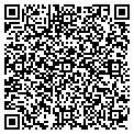 QR code with Angeli contacts