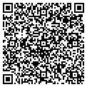 QR code with Gavish contacts