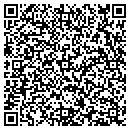 QR code with Process Analysts contacts