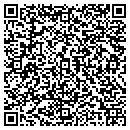 QR code with Carl Isgro Consulting contacts