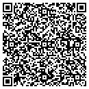QR code with Cybersoft Solutions contacts