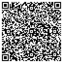 QR code with Carver Construction contacts