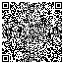 QR code with Pub Brewing contacts