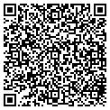 QR code with Tidi contacts