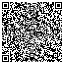 QR code with Costanza Builders Inc contacts