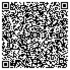 QR code with Productive Connection contacts