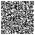 QR code with Dvg Corp contacts
