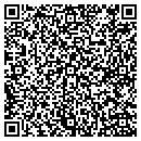 QR code with Career Concepts Inc contacts